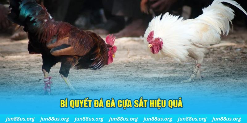 win 79 nổ hũ may mắn