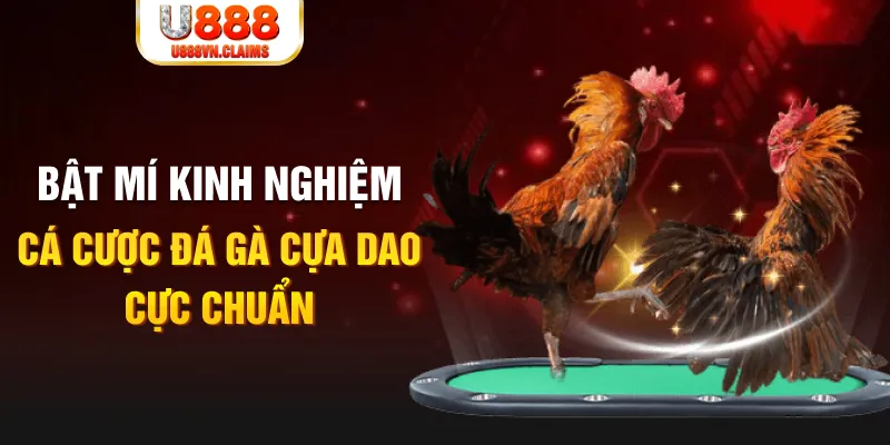 win 79 casino hồ tràm có cho người việt vào không