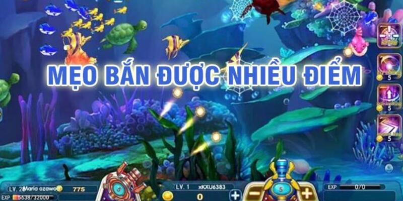 win 79 baccarat có lừa đảo không