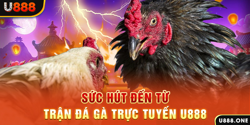 win 79 đăng nhập poker 2024