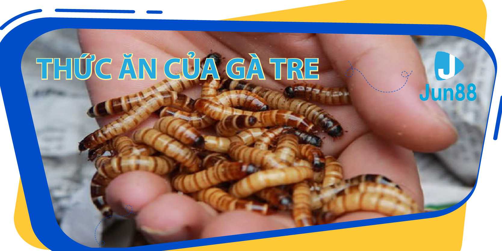 win 79 ban ca 30