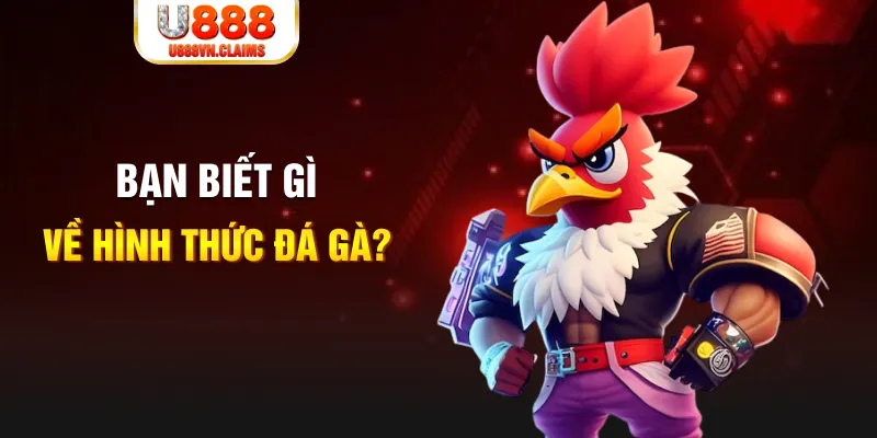 win 79 đăng nhập liêng tặng tiền