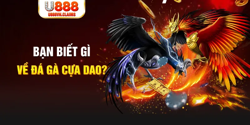 win 79 xo so mien bac