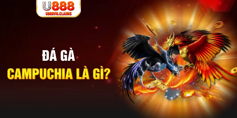 win 79 what is the best online casino for real money