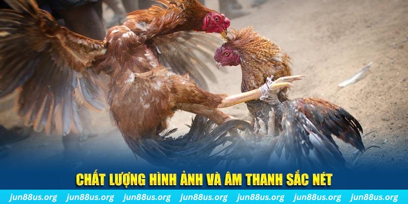 win 79 gà chọi tiêu phong