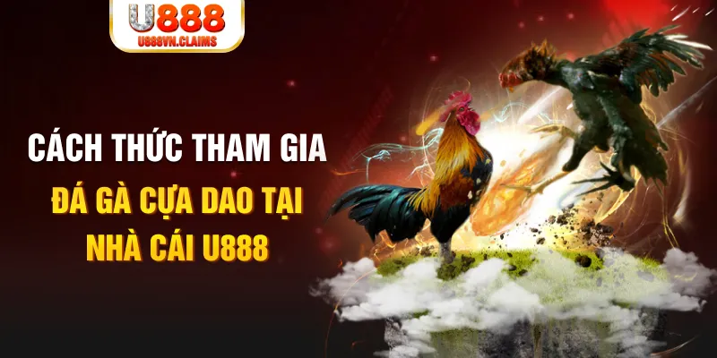 win 79 đá gà 88.com