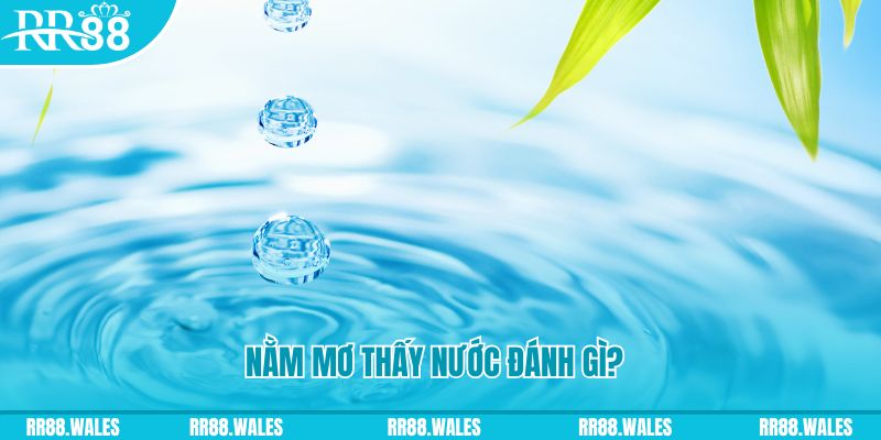 win 79 xổ số trực tiếp miền bắc