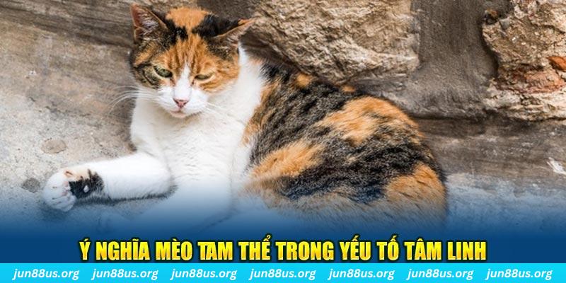 win 79 máy slot game là loại trò chơi gì？