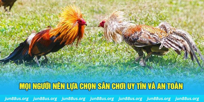 đăng nhập poker 2025