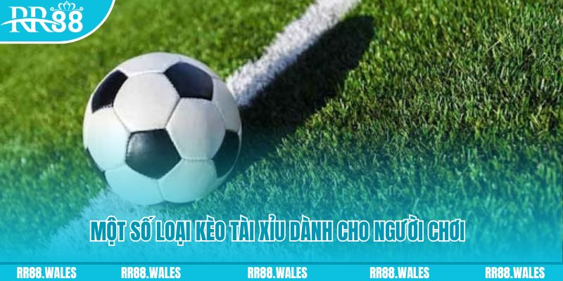 win 79 slot nghĩa là gì