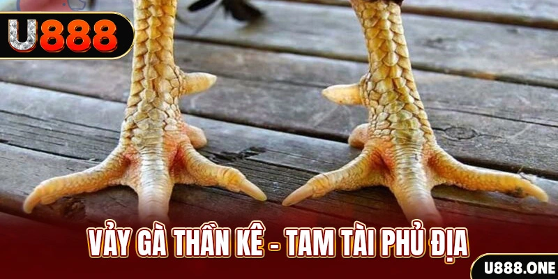 so xo mien trung