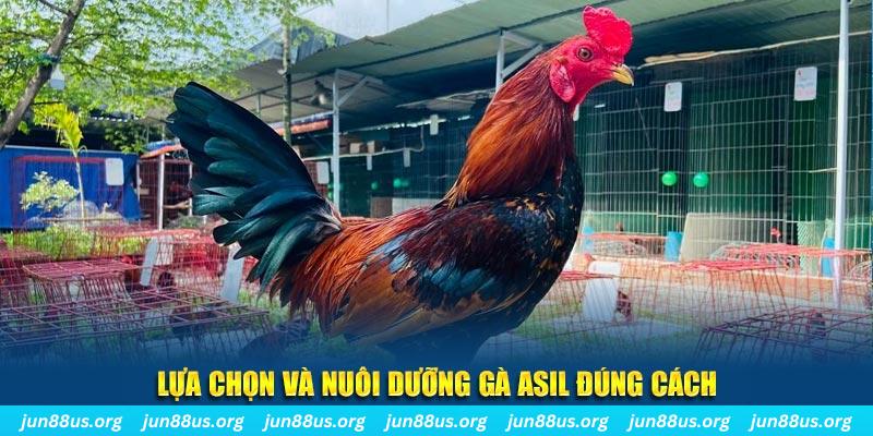 win 79 nổ hũ thần tài là gì