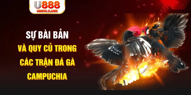 win 79 game xếp bài trên máy tính