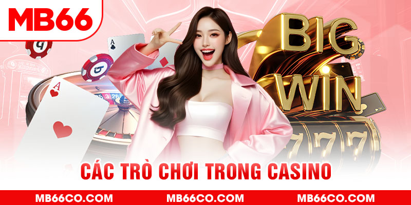 win 79 chổi lông gà
