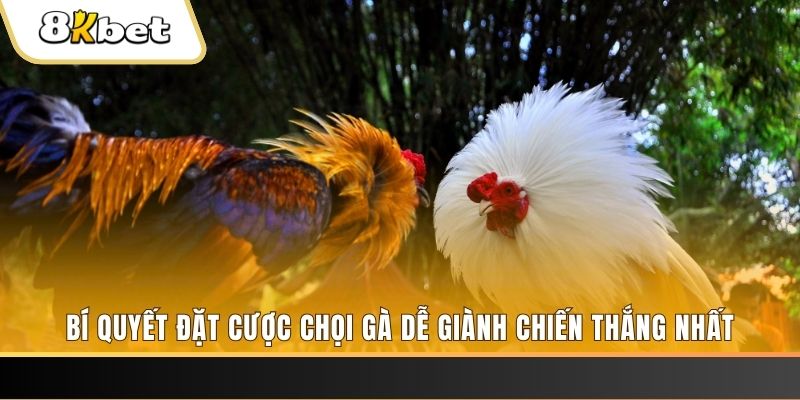 win 79 nổ hũ chơi như thế nào