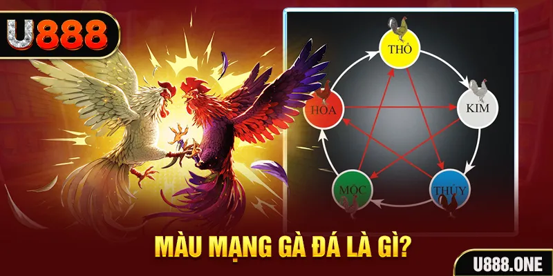 win 79 V8 Game Bài 3d