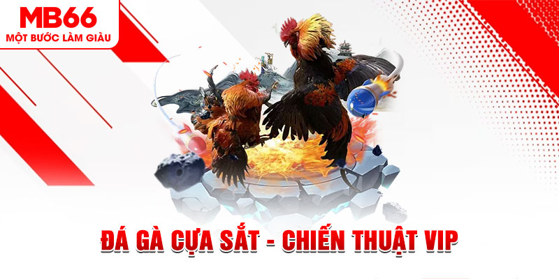 win 79 slot out là gì