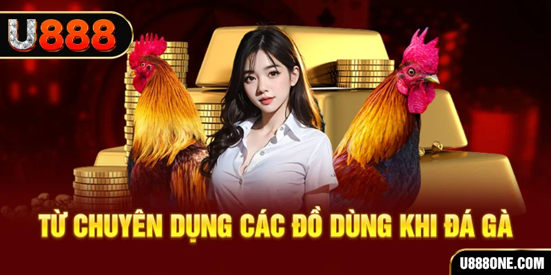 win 79 đăng nhập poker trực tiếp