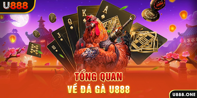 win 79 xổ số vietlott